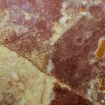 Vienna Onyx